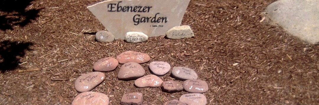 an assortment of rocks with names on them as tribute